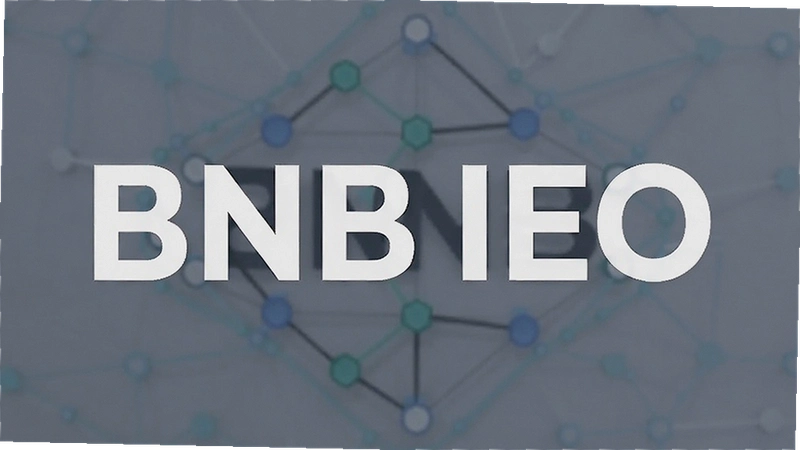 BNB IEO��ʲô�����±Ұ�Launchpad��Ŀ�̵�����빥��