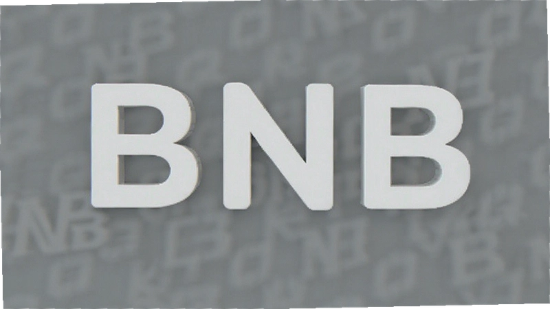 BNB���Ǵʶ�ʧ��ô�һأ��ָ�Ǯ������ϸ����̳�