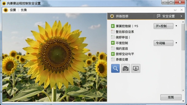 向日葵远程控制安全设置界面截图