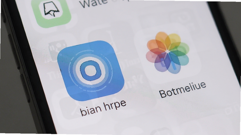 bian链接在手机屏幕上显示的图标和样式预览图