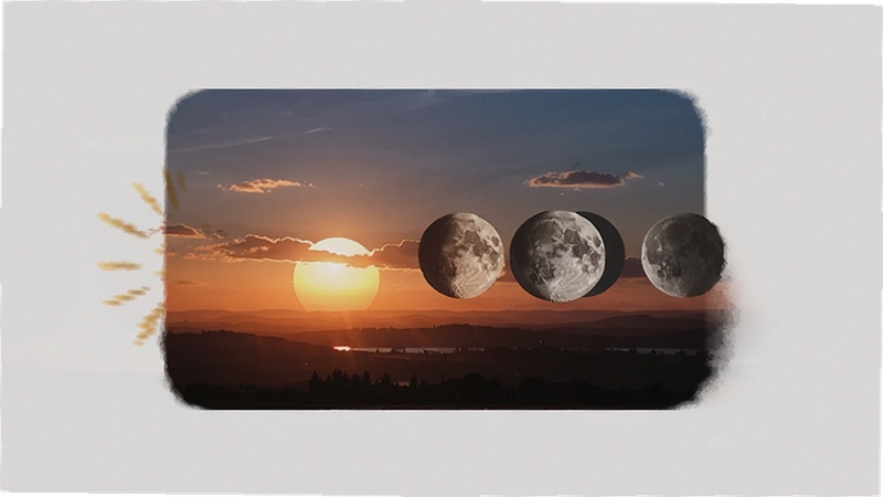 �ճ��������������ĸ��ã���׼���Ĺ�����ôѡ
