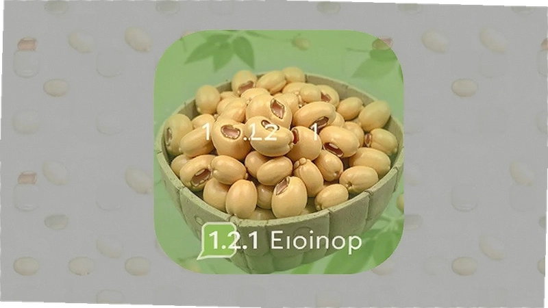 �ƶ��̾���ô��װ����׿1.2.1�汾�����£����غ��޷���