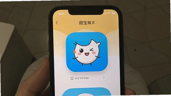 ΢������app��װ����