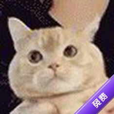С����������°�v1.9.7��׿��