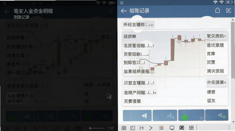 笔安入金资金明细到账记录截图