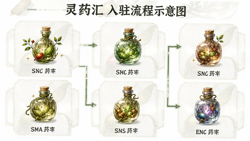 灵药汇入驻流程示意图