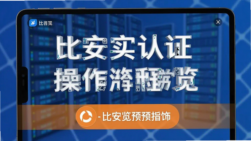 比安实名认证操作流程总览预览图