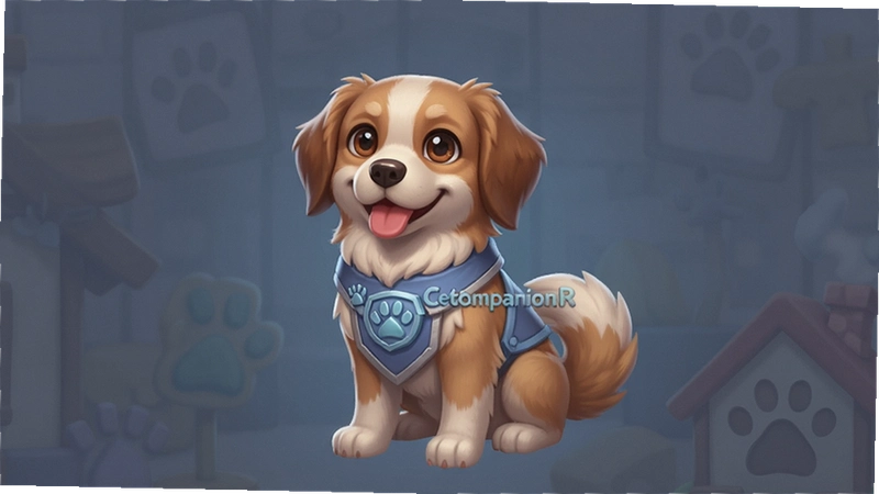 ��5��ë���ӻ�ϰ����ô������죿����ؿ��ʴ�
