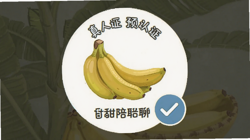 ������������֤��ʶԤ��ͼ