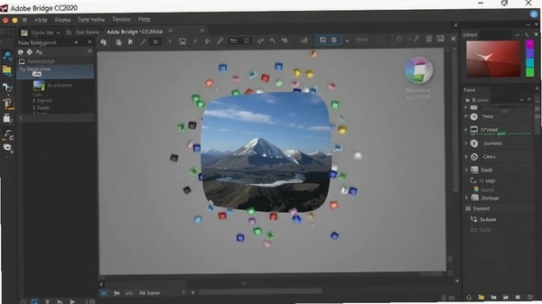 Adobe Bridge CC2020�����ƽ���ͼ