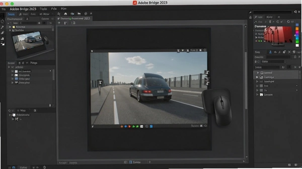 Adobe Bridge 2023���ļ�����ͼ