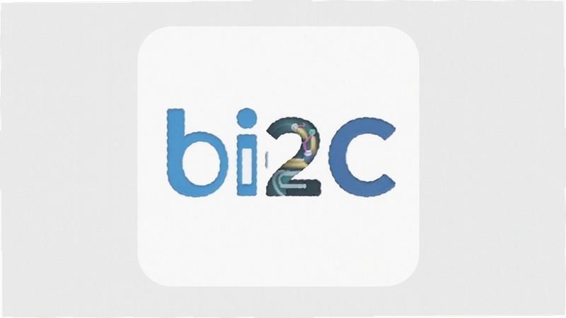 bi��C2C���׽̳̣�����˫����ΰ�ȫ�ܿӣ����������������ָ��