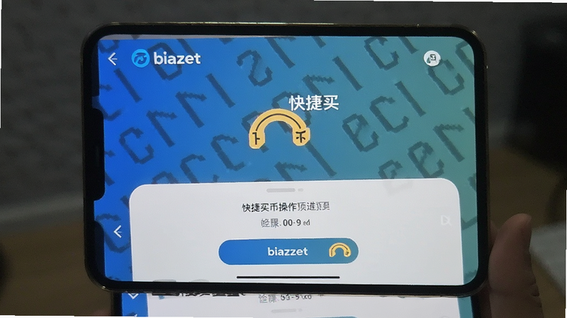 bi�������Ҳ�������Ԥ��ͼ