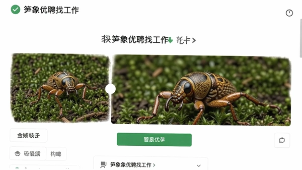 ������Ƹ�ҹ��������ͼ