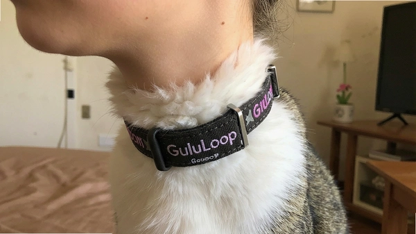 GuluLoopè����Ȧ���Ч��