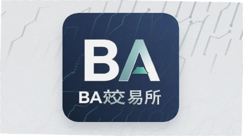 BA�������һ�������⣬��ȫ���ٵ���ָ��