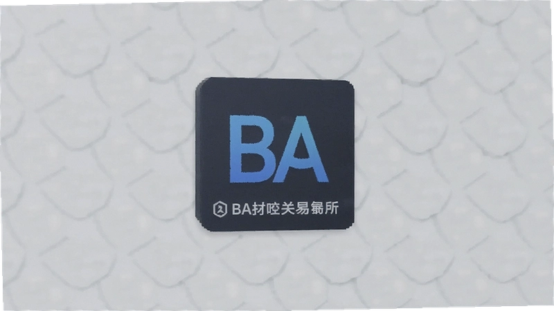 BA�������һ��˺�ʧ��ԭ�򼰽������