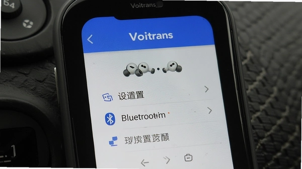 Voitrans���������������ý���