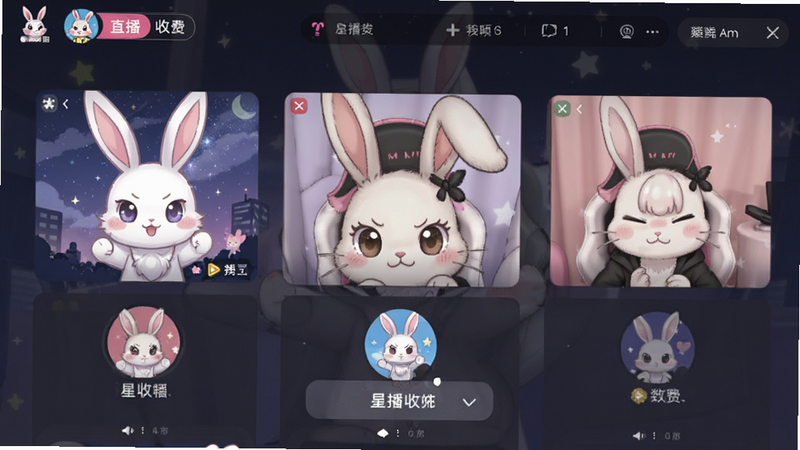 星兔直播连麦收费页面截图预览图