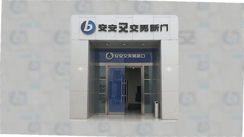 b����������ڹ������ģ�������ַ�밲ȫ��¼ָ��