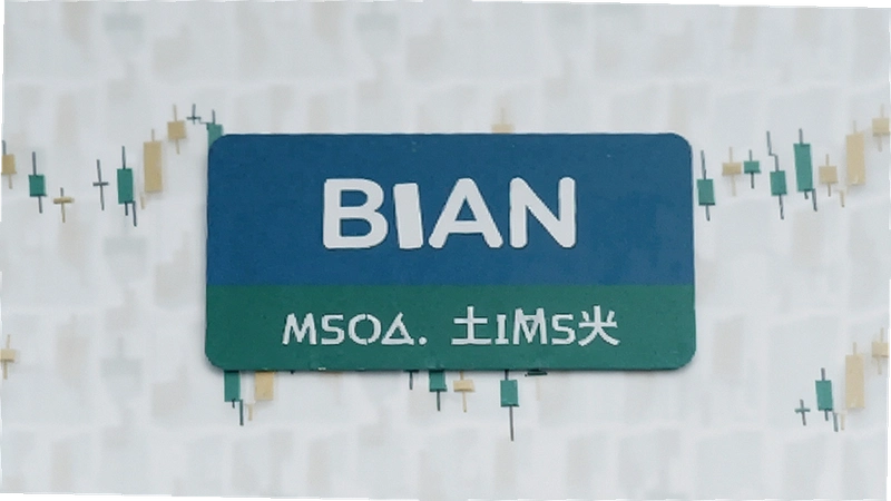 binan����ʲô��˼��������ô�������ⱬ�ַ���