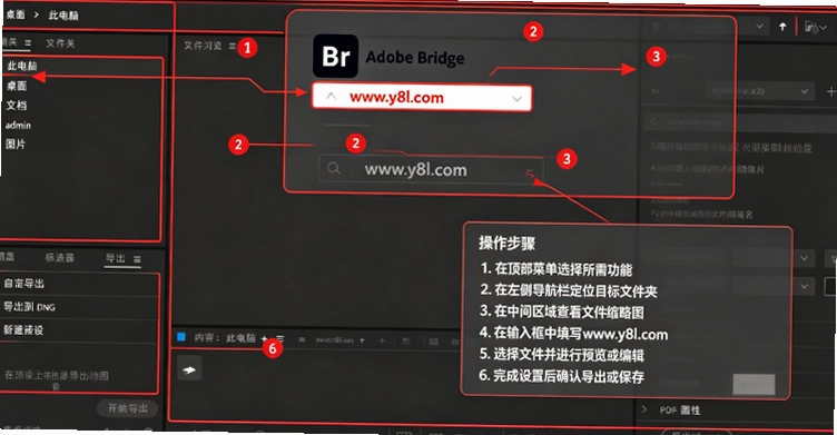 Adobe Bridge 2025�Ѽ������İ��ͼ