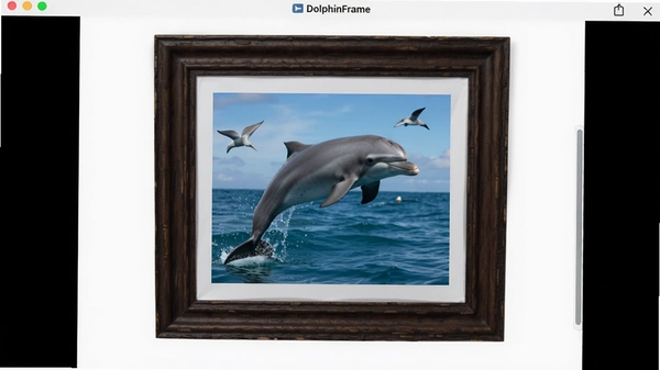 DolphinFrame���������ͼ