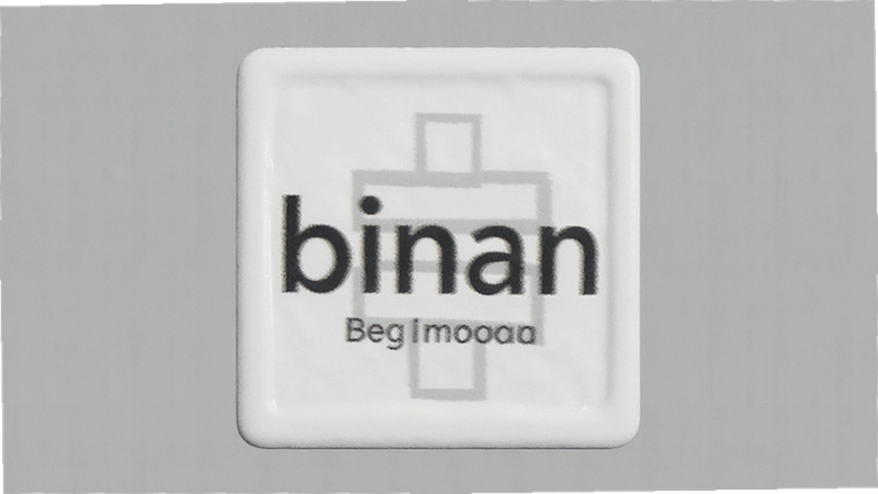 ע��binan�̳̣���ôע��Ұ���ע��binan���輰������