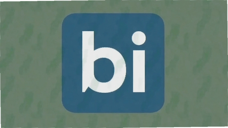 bi��ע��������⼰����������ָ��