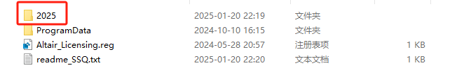 Altair Flow Simulator 2025��ʽ���ͼ
