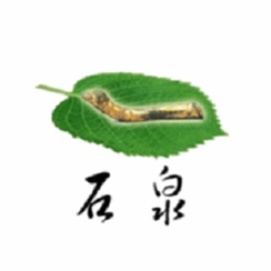 ��ʯȪʯȪ��ýv1.3.3������Ѷ