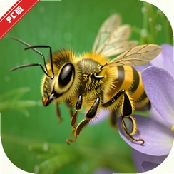 �۷�����۷���Ƶ������v1.7.2.14ȫ�ܼ���