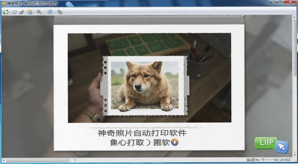 ������Ƭ�Զ���ӡ���� �����̳̽�ͼ