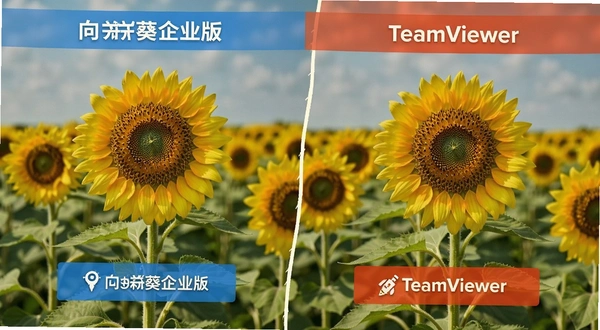 ���տ���ҵ�� �� TeamViewer �Ա�
