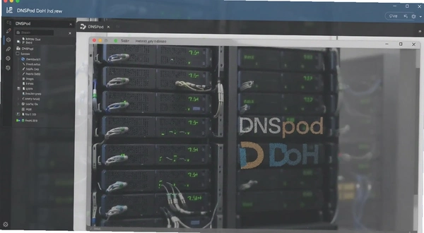 DNSPod DoH��ȫ���� ���н���Ԥ��ͼ