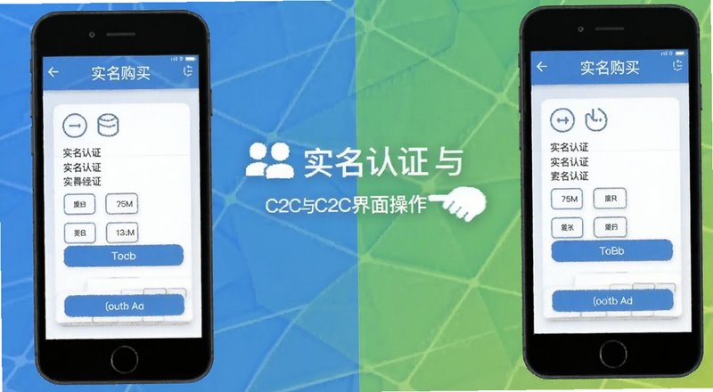 ʵ����֤��C2C����������ʾ��ͼ