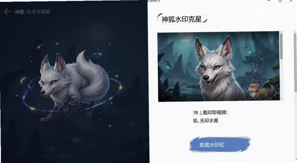 ���ˮӡ���� ������ˮӡ��Ƶ �ɹ�����