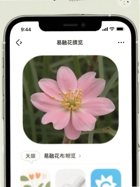 ���ڻ�app����Ԥ��ͼ
