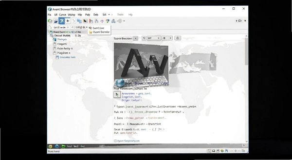 Avant Browser�ڴ�ռ�ò���