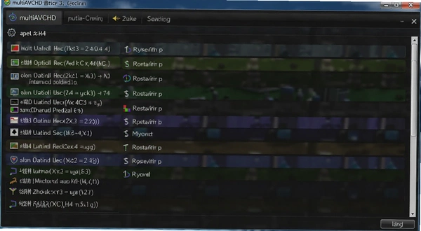 multiAVCHD������Ļ���ý����ͼ����ʾ�����������Ļѡ��