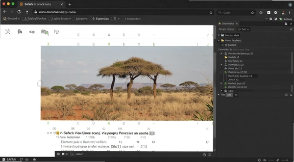 Safari����� ��ҳ����� Ԫ�ز鿴���