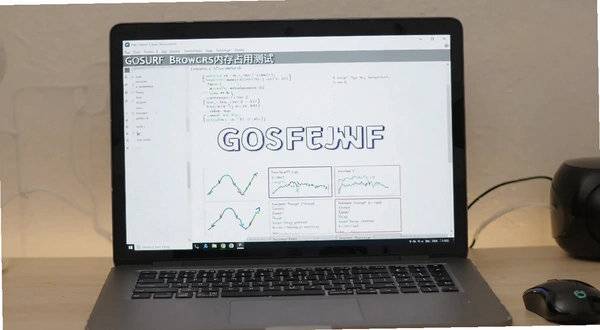 GOSURF������ڴ�ռ�ò���ͼ