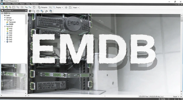 EMDB������ͼ