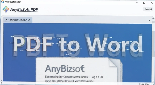 AnyBizSoft PDF to Word ת��Ч�� Ԥ��ͼ