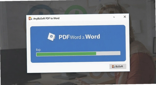 AnyBizSoft PDF to Wordת�����Ƚ���