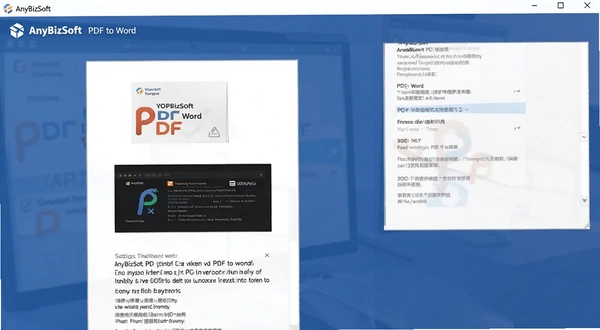 AnyBizSoft PDF to Wordת�����ý���