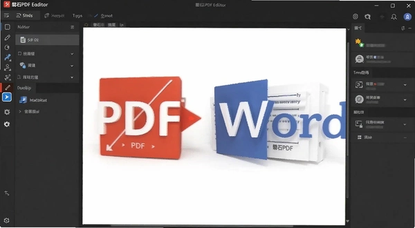 ��ʯPDF�༭�� PDFתWordЧ��