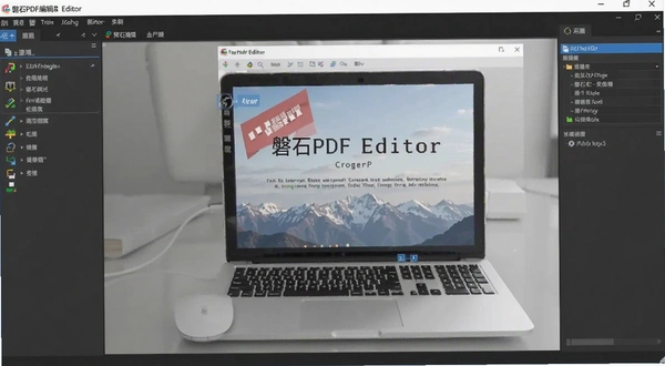 ��ʯPDF�༭�� ���������ͼ