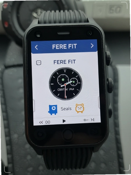 Fere fit�ֱ�����������Խ����������Ԥ��ͼ