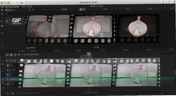 GIF Movie Gear ���Ƥ ֡�༭����